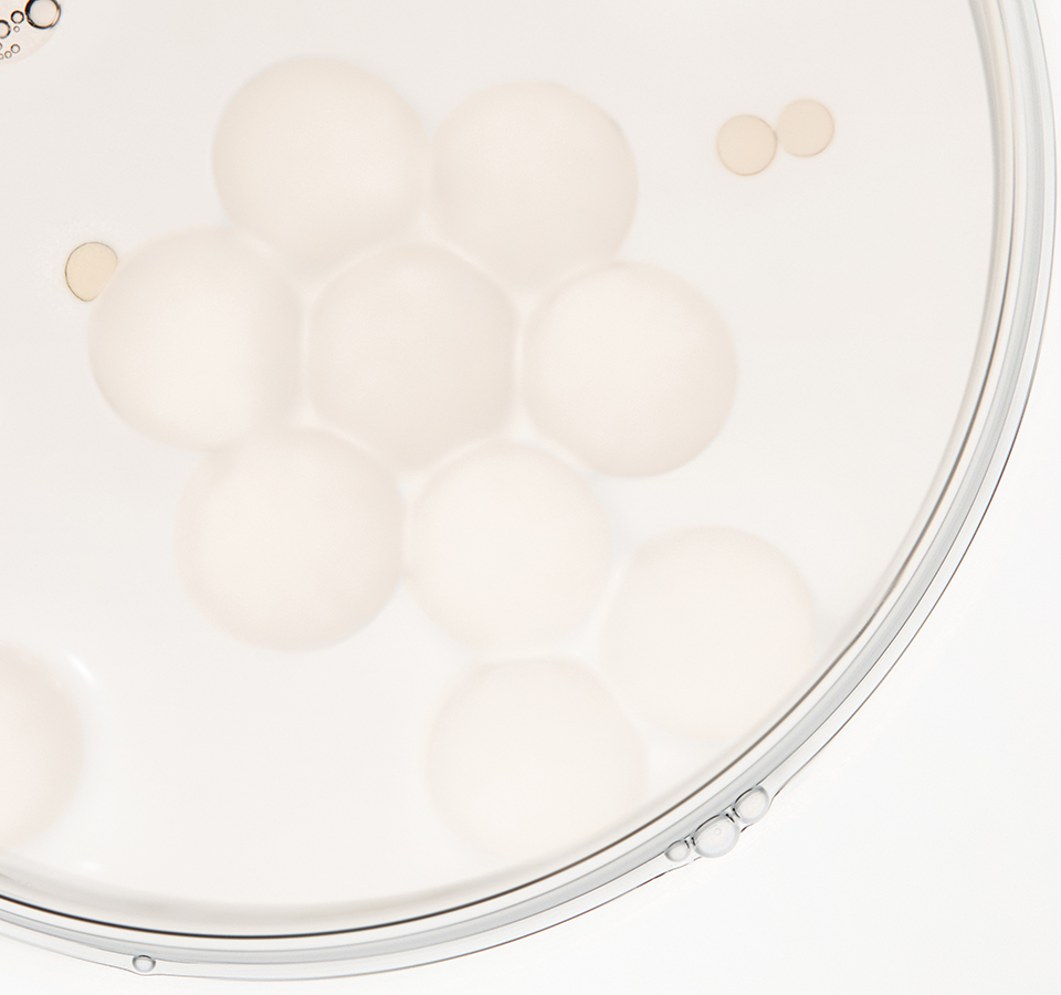 Refining Powder-to-Foam Cleanser PHYTOBIOTICS-DERIVED ENZYME